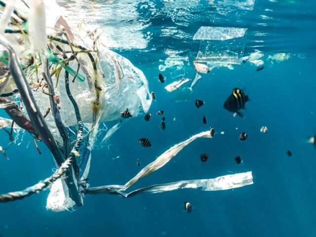 Kunststoffabfall im Meer Kunststoffabfall im Meer.